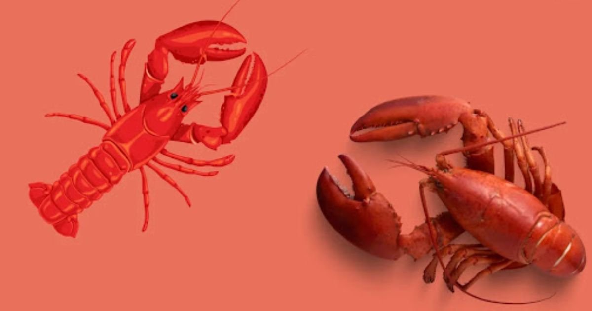 Badass lobster names girl