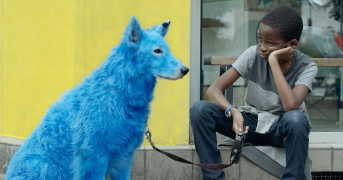 Cute blue dog names male