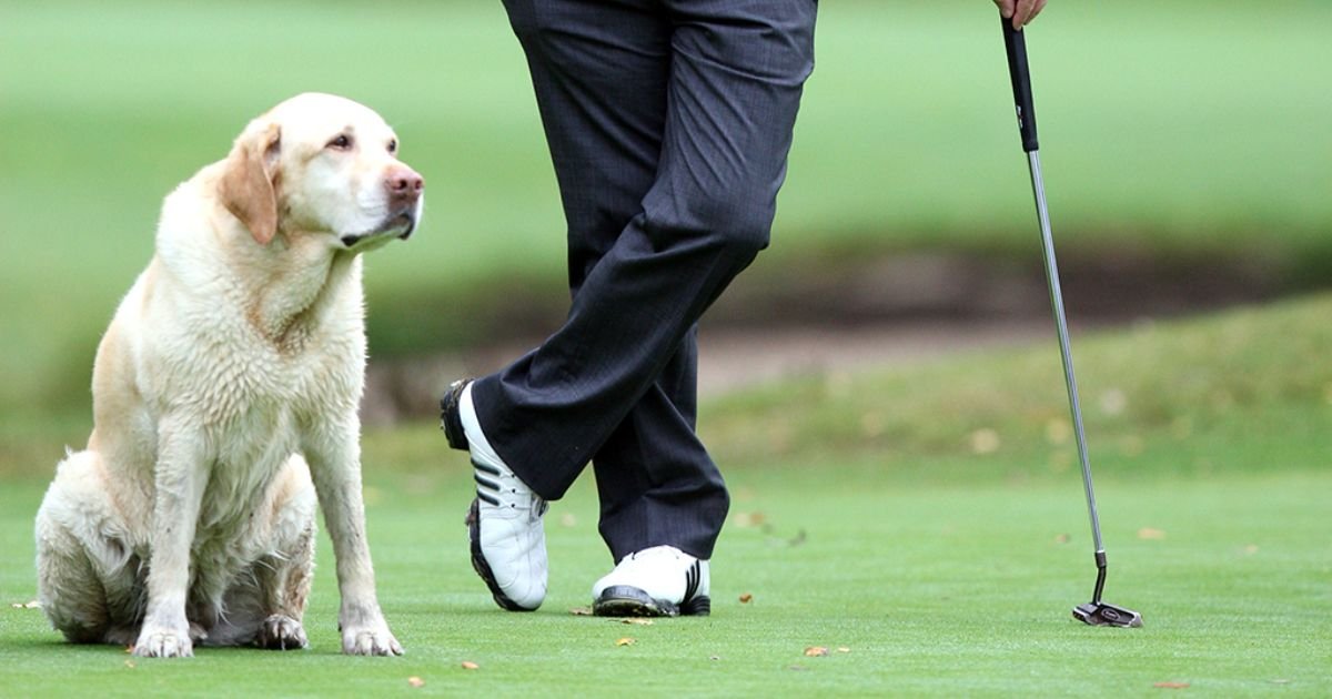 Best golf related dog names