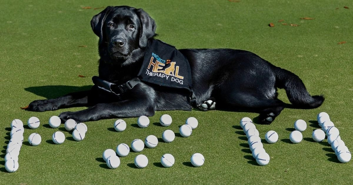 golf dog names boy