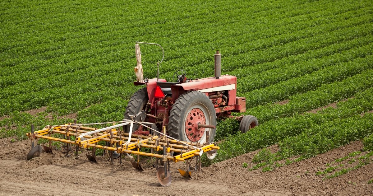 Farm name generator Stardew