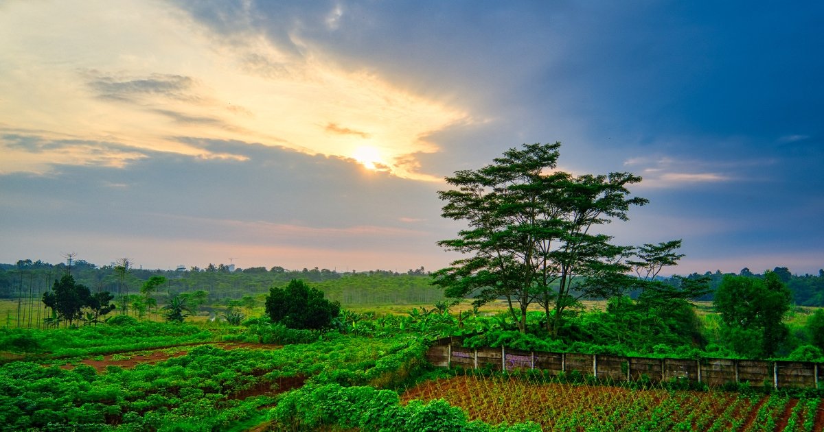 Farm name generator funny