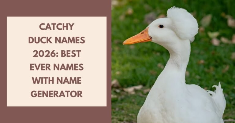 Catchy Duck Names
