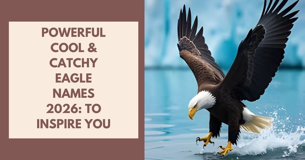 Catchy Eagle Names