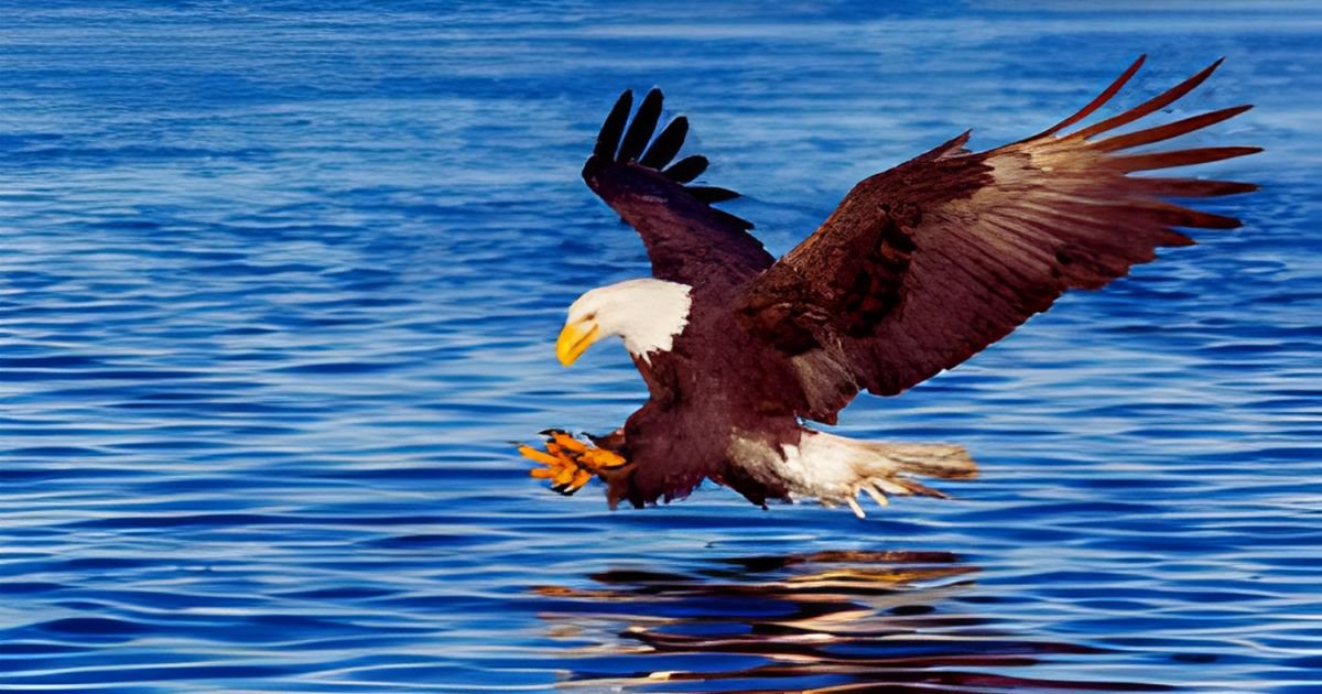 Catchy eagle names male