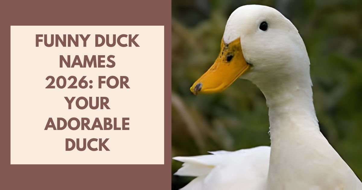 Funny Duck Names