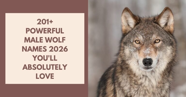 Male Wolf Names
