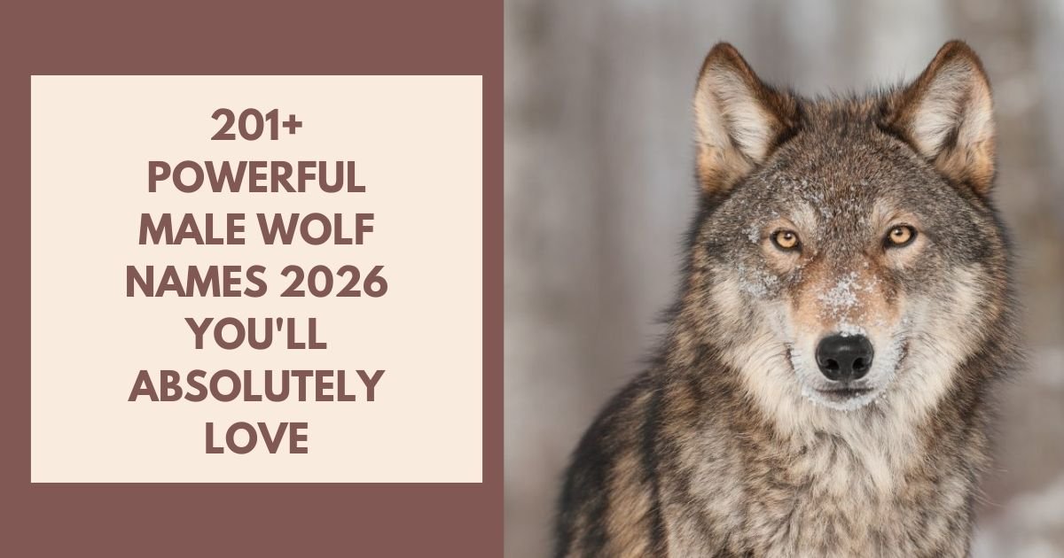 Male Wolf Names