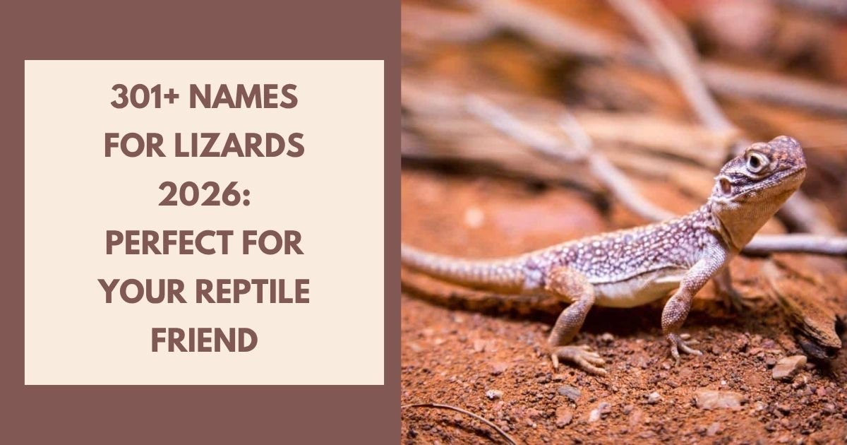 Names for Lizards