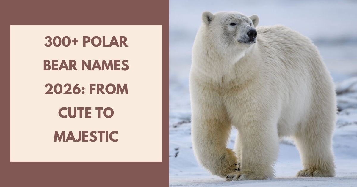 Polar Bear Names