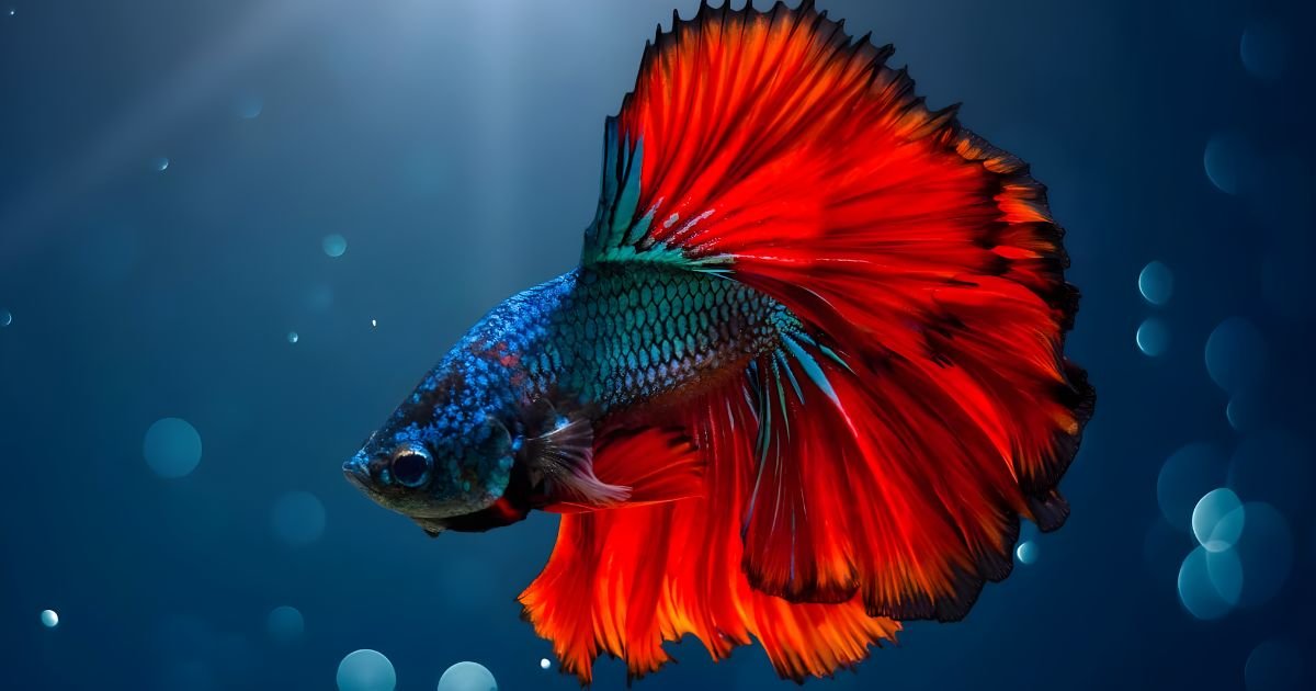 Unique fish names