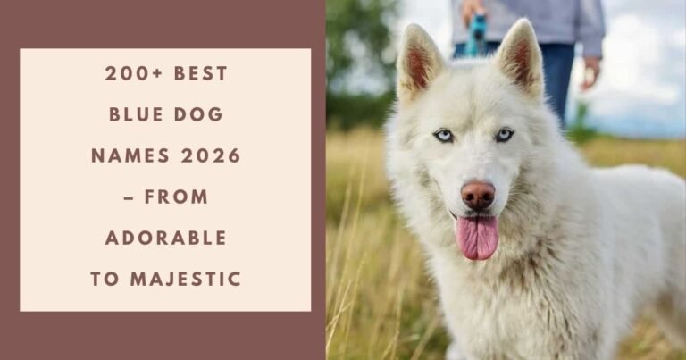 Blue Dog Names