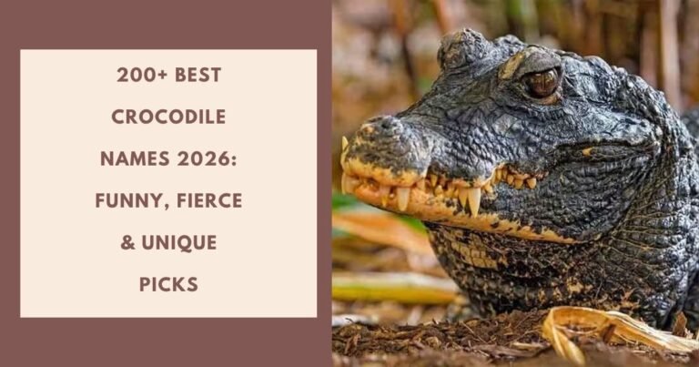 Crocodile Names