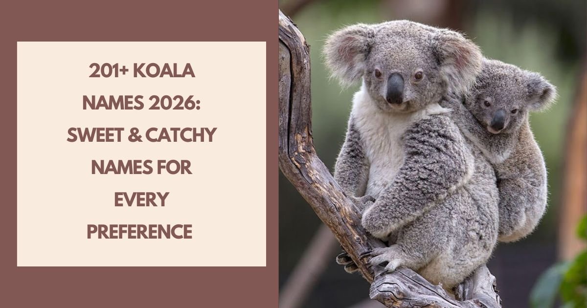 Famous Koala Names