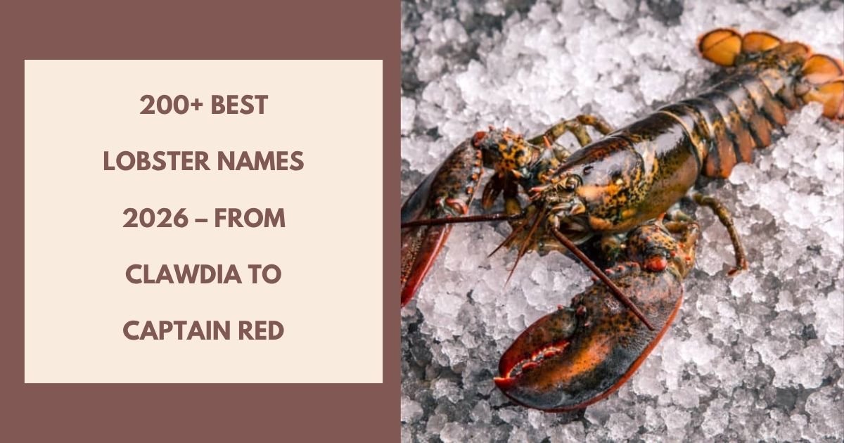 Lobster Names