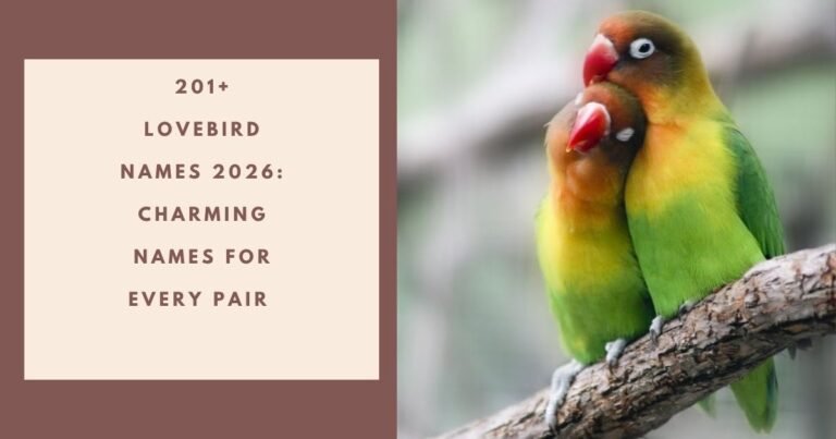 Lovebird Names