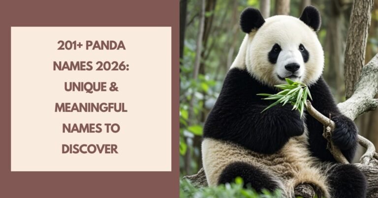 Panda Names For Girls