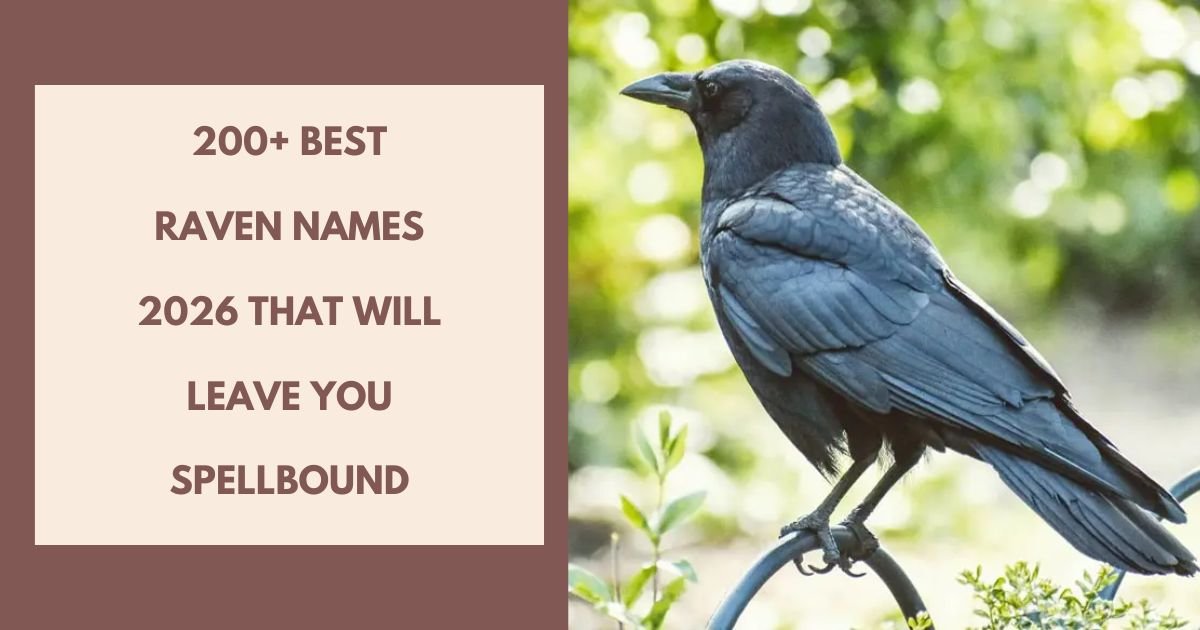 Raven Names