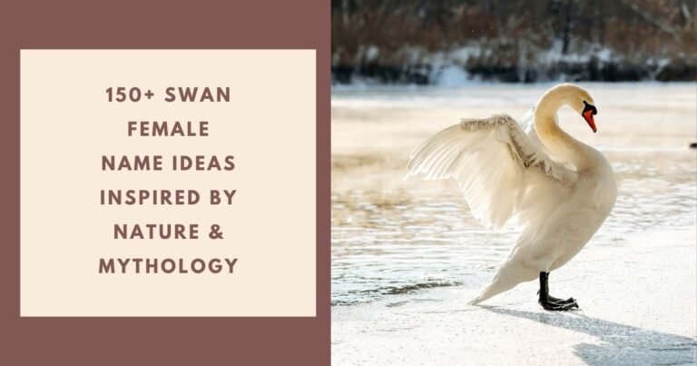 Swan Female Name