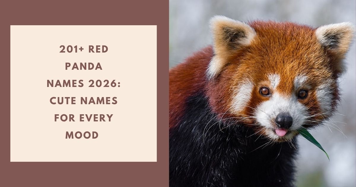 Red Panda Names