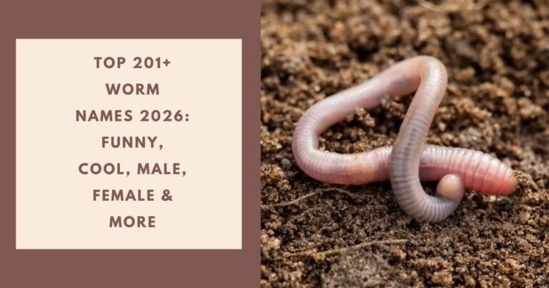 Worm Names